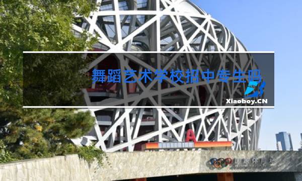 舞蹈艺术学校招中专生吗