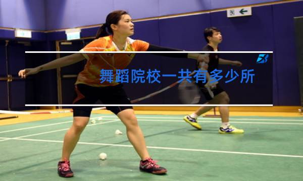 舞蹈院校一共有多少所