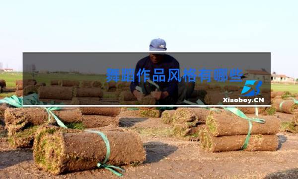 舞蹈作品风格有哪些
