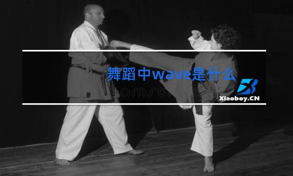 舞蹈中wave是什么