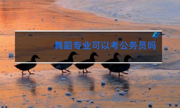 舞蹈专业可以考公务员吗