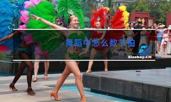 舞蹈中怎么数节拍