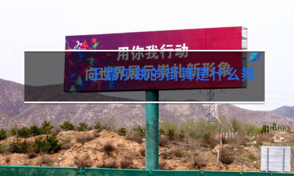 王嘉尔跳的街舞是什么舞种