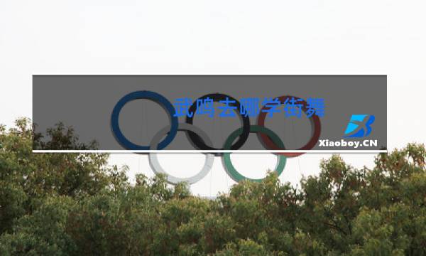 武鸣去哪学街舞图片