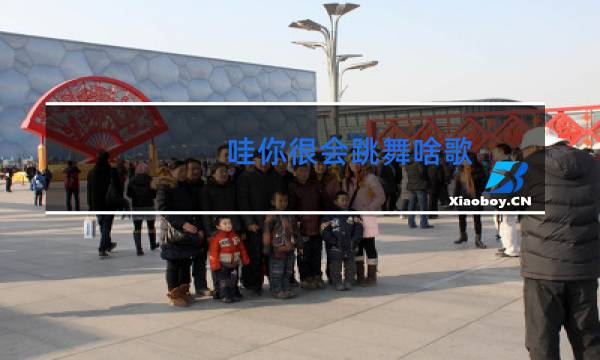 哇你很会跳舞啥歌