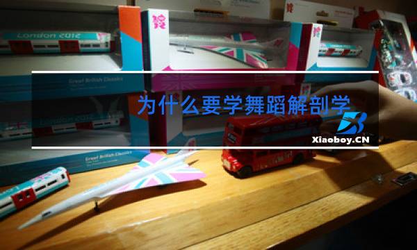 为什么要学舞蹈解剖学图片