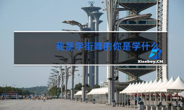 我是学街舞的你是学什么的