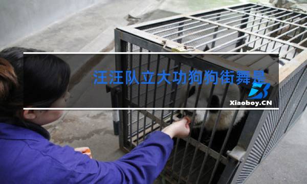 汪汪队立大功狗狗街舞是第几集