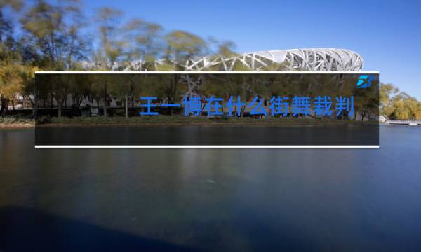 王一博在什么街舞裁判图片