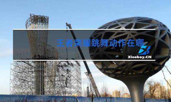 王者荣耀跳舞动作在哪图片