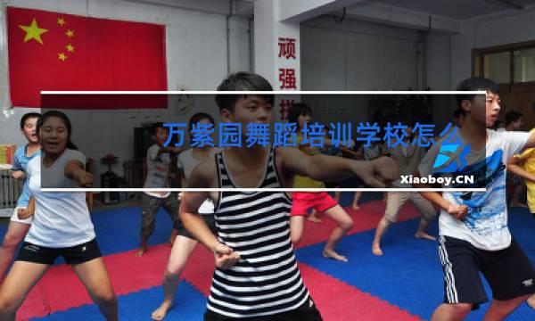 万紫园舞蹈培训学校怎么样