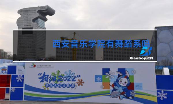 西安音乐学院有舞蹈系吗