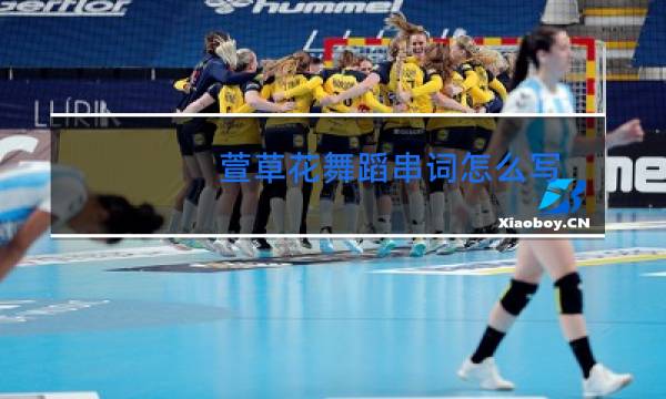 萱草花舞蹈串词怎么写图片