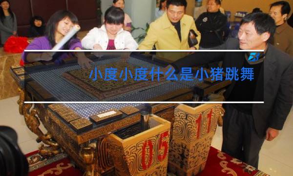 小度小度什么是小猪跳舞