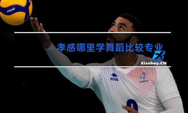 孝感哪里学舞蹈比较专业