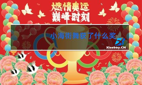 小海街舞获了什么奖图片