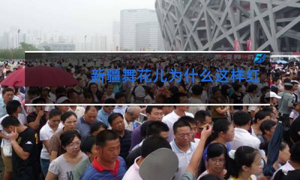 新疆舞花儿为什么这样红舞蹈