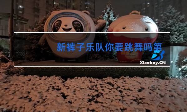 新裤子乐队你要跳舞吗第几期图片