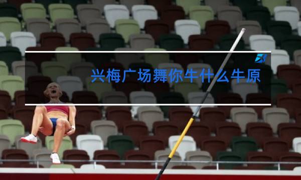 兴梅广场舞你牛什么牛原唱