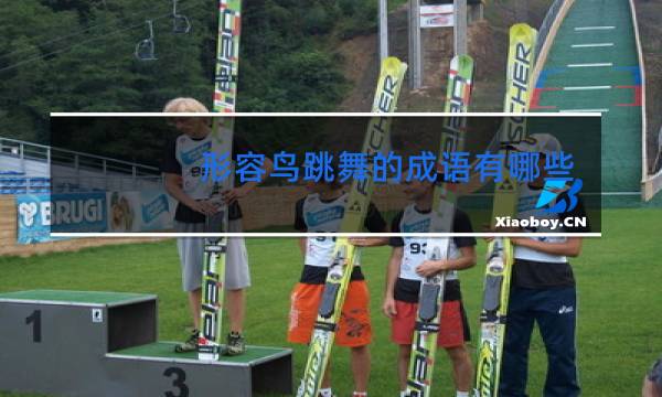 形容鸟跳舞的成语有哪些