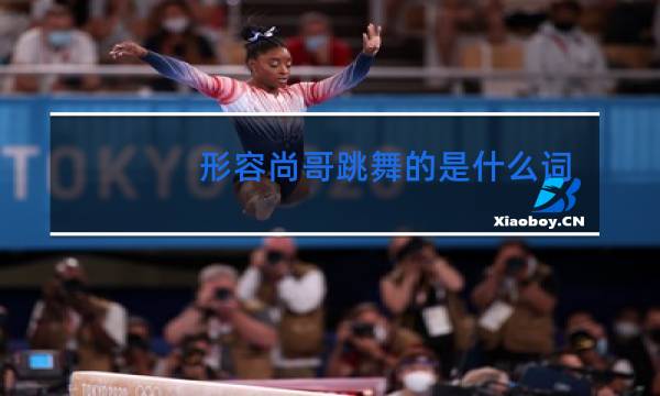 形容尚哥跳舞的是什么词语