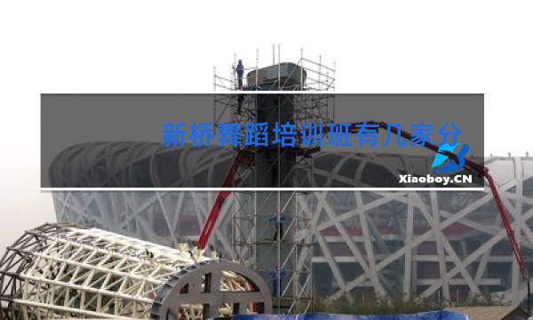 新桥舞蹈培训班有几家分店图片