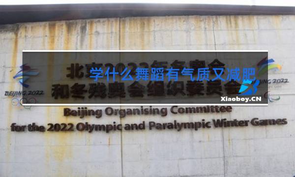 学什么舞蹈有气质又减肥