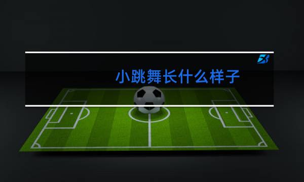 小跳舞长什么样子