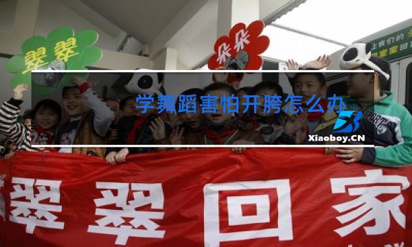 学舞蹈害怕开胯怎么办