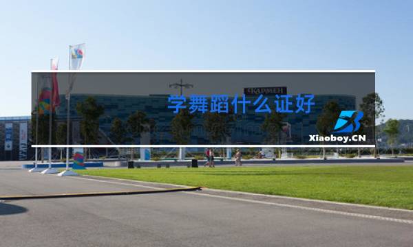 学舞蹈什么证好