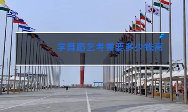 学舞蹈艺考需要多少钱高中三年
