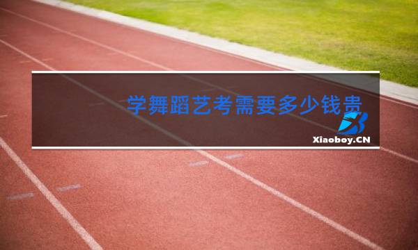 学舞蹈艺考需要多少钱贵州