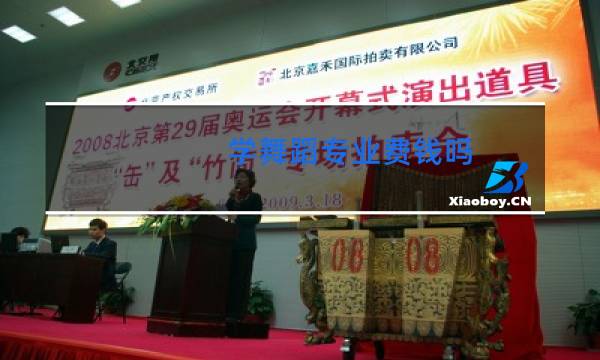 学舞蹈专业费钱吗