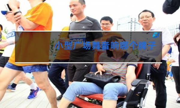 小型广场舞音响哪个牌子好图片