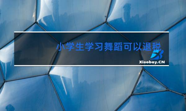 小学生学习舞蹈可以退税吗