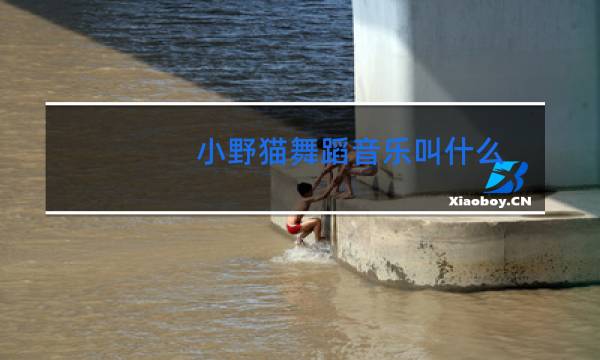 小野猫舞蹈音乐叫什么图片