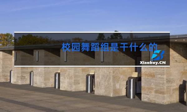 校园舞蹈组是干什么的