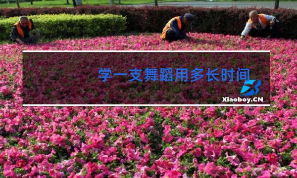 学一支舞蹈用多长时间