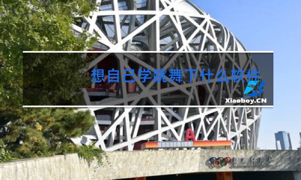 想自己学跳舞下什么软件好呢