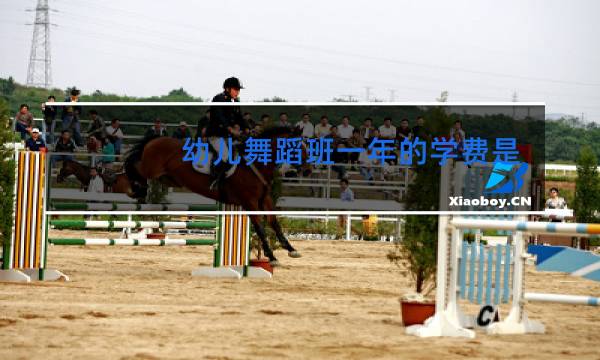 幼儿舞蹈班一年的学费是多少图片