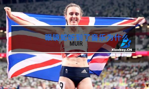 眼镜蛇听到了音乐为什么会跳舞图片