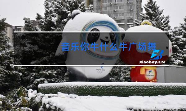 音乐你牛什么牛广场舞