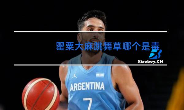 罂粟大麻跳舞草哪个是毒品图片