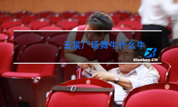 云裳广场舞牛什么牛
