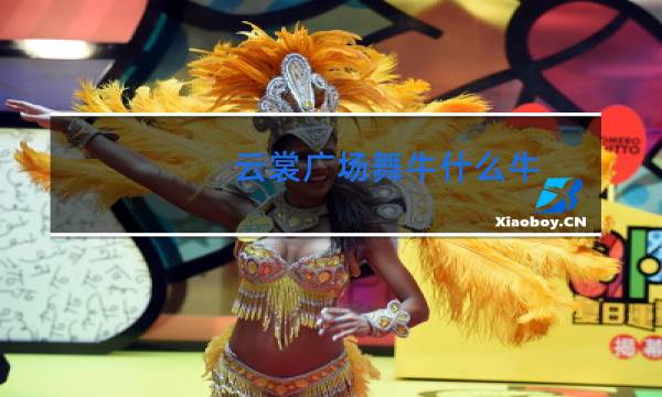 云裳广场舞牛什么牛
