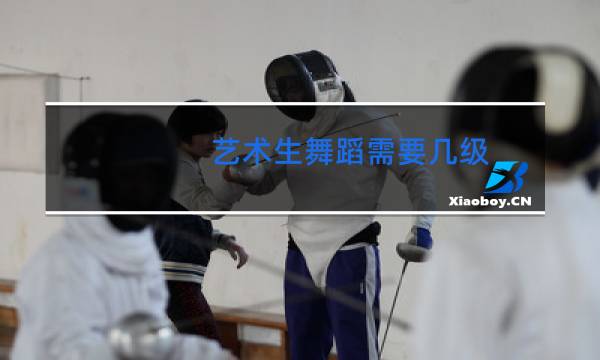 艺术生舞蹈需要几级