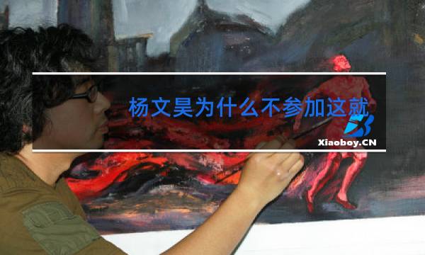 杨文昊为什么不参加这就是街舞4