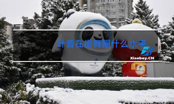 叶音在街舞圈什么水平