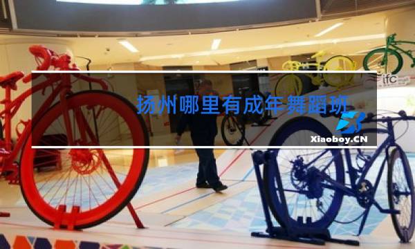 扬州哪里有成年舞蹈班