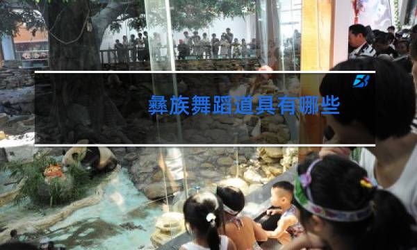 彝族舞蹈道具有哪些